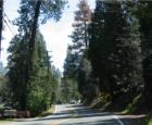 Charming Mountain Community of Crestline, CA