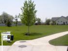 Baldwin Park - Common Area 2