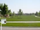Baldwin Park - Playground