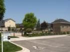 Baldwin Park - Pool