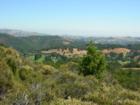 The Marin Headlands