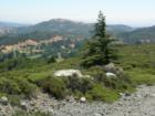 Hiking Trail in the Marin Headlands