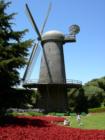 The dutch windmill in Golden Gate Park, close to the Beach Chalet