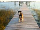 Deep Water docks 