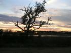 Wonderful sunsets to the west
