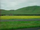 A Beautiful Spring Day on a Country Road Leading to Town