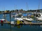One of the many marinas in Vancouver