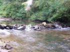 Fightingtown Creek Beautiful Trout Stream 