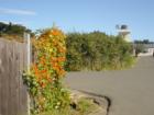 Quiet streets in Mendocino