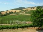 Near Hanna Winery