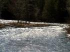 Aroostook River