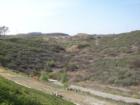 The La Costa preserve is adjacent to La Costa Oaks, providing more than 1000 acres of open space to explore