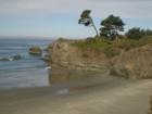 Mendocino Coast