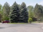 Riverside Village - Mature Landscaping