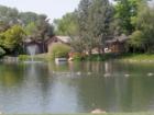 Riverside Village - Ponds and Wildlife