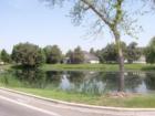 Riverside Village - Pond View