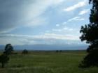 Not all of the Black Forest is wooded. A vast area of it is grasslands. The Rocky Mountains are in the background.