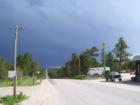 A view looking south on Black Forest Road and the heavily wooded area.
