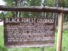 This sign tells a little about the area and history of Black Forest. Visitors will certainly want to take a look at it. It is located on Black Forest Road and Shoup.