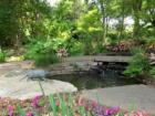 On a Mother's Day trip to the Dallas Arboretum we ran across this Texas native - a possum pond!  