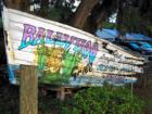 Ballyhoo Grill - a great place to eat in Citrus Park!