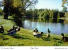 Elgin Pond