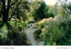 Uxbridge Creek