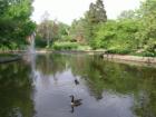 Pond at Millersville University.  Photo by Brian Schulman