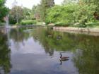 Peaceful scene at Millersville University.  Photo by Brian Schulman