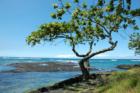 Four Mile Beach at Lunch Time
