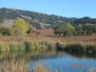 Alexander Valley Hwy 128