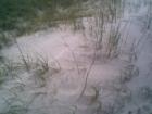 Sand dunes in Ponce Inlet. Visit www.ProductionTeamofDaytona.com to learn more about beaches in Florida