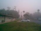 Foggy Morning in Daytona Beach. Visit www.ProductionTeamofDaytona.com to learn more about Daytona Beach, Florida