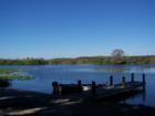 Goldendale Boat ramp, Crystal River, Florida.  