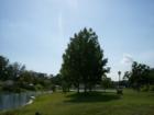 view to community lake