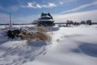 Barrie Snow Day