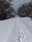 Barrie rail/walking path