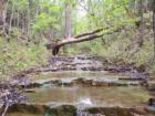 Serenity in the woods From Bull creek 