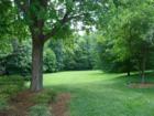 Beautiful Lush Common Grounds in the Community of Snowdens Mill - Silver Spring, Md 20904