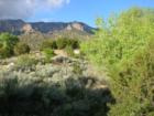 Elena Gallegos Open Space view of the Sandias
