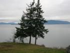 Chuckanut Bay