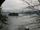 Chuckanut