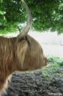 A Middletown Resident!