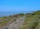 Soundside beach just south of Salvo