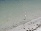Lovers Key, Lee County, FL