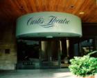 The Curtis Theater, a wonderful place for local productions. Located at the Civic Center on Birch St./north side of the Brea Mall. Photo by Lynda Eisenmann, Broker.