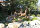 Brea's "Art in Public Places", just one of many beautiful sculptures in the city. "Jumping Deer" at Northwood & Berry. Photo by Lynda Eisenmann, Broker.
      
