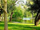 This is a pond in Land Park. 