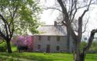 Spring Booms at the Shifferstadt