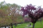Beautiful Spring colors at Baker Park